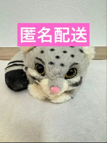 고베 동물왕국 마눌너구리 봉제 인형 3