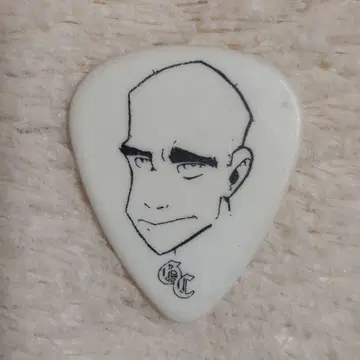 Good Charlotte 기타 피크