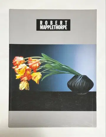 로버트 메이플소프 전시회 카탈로그