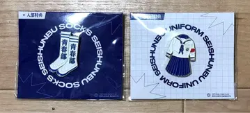 새로운 학교의 리더즈 핑 배지 세트