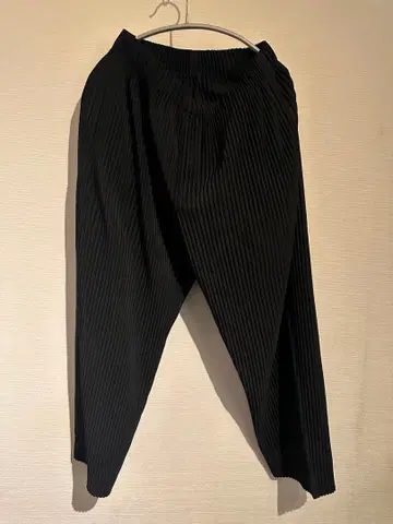 옴므 플리세 이세이 미야케 플리츠 팬츠