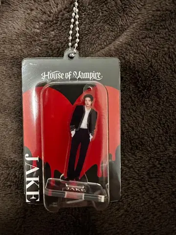 ENHYPEN House of Vampire museum 제이크