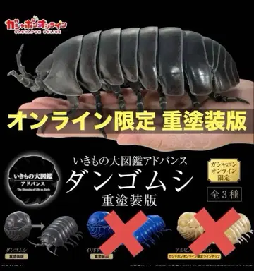 공벌레 중도장판 온라인판 생물대도감 어드밴스 블랙