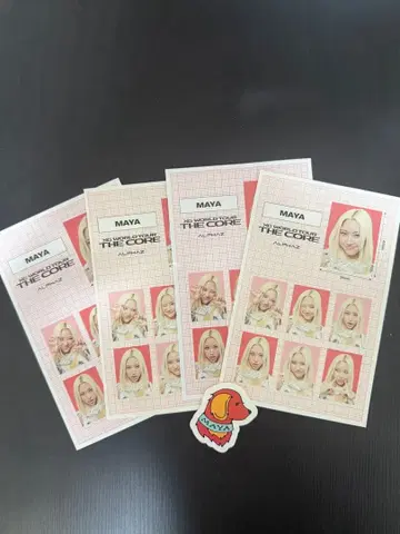 XG MAYA 증명사진