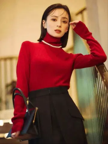 [새상품급] 하이 게이지 울 핏 리브 터틀 니트 레드 아뉴앙스