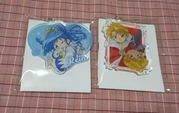 신비한 별의 쌍둥이 공주 레인 브라이트 츠리비레 아크릴 키링