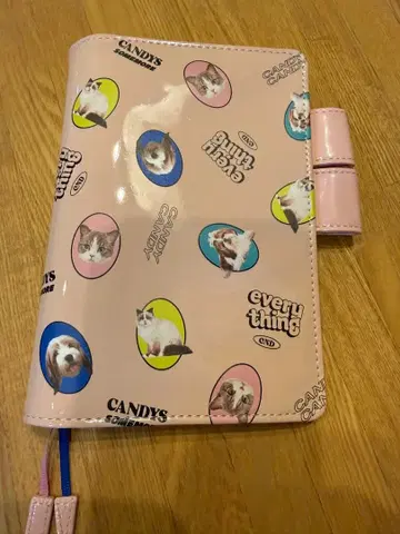 호보니치 캔디 스트리퍼 오리지널