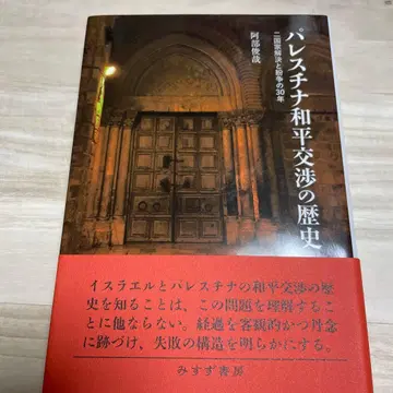 팔레스타인 평화 협상의 역사 두 국가 해결과 분쟁의 30년