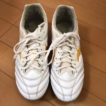 미즈노 모나르시다 PRO 축구화