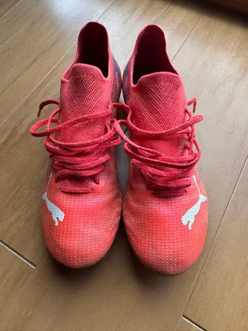 Puma 울트라 축구화 스파이크