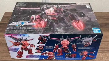 HG Z'GOK (SEED FREEDOM Ver.) 260