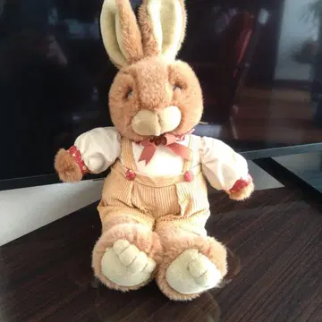 토끼 봉제 인형 코르셋 포함