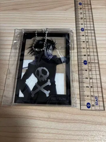 페이탄 싸우는 등 Ver BIG 아크릴 키링