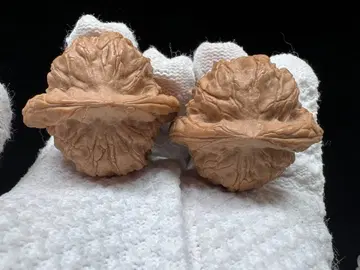 문완당: 큰 귀 투투 패턴 문완 호두 (무수정)