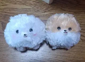 포메라니안풍 봉제 인형 2체 세트