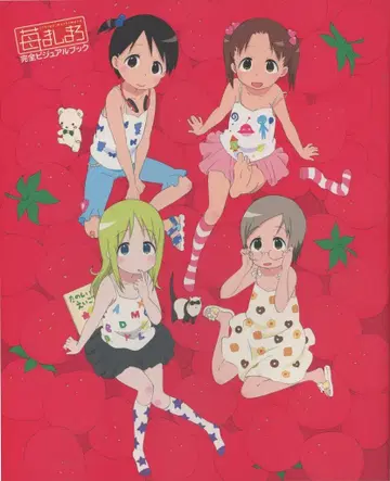 메디웍스 완전 비주얼 북 딸기 마시마로