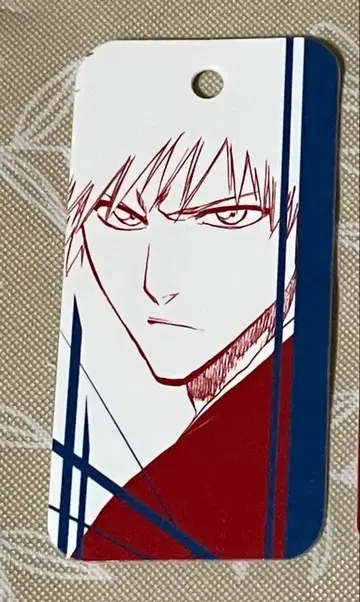 점프 페어 2009 원작 패턴 BLEACH 1장