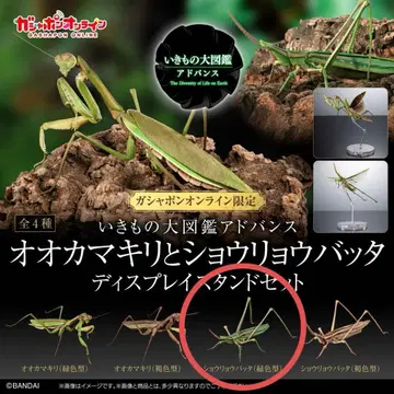 생물대도감 어드밴스 오오카마키리 와 쇼료바타 그린 컬러 타입 온라인판