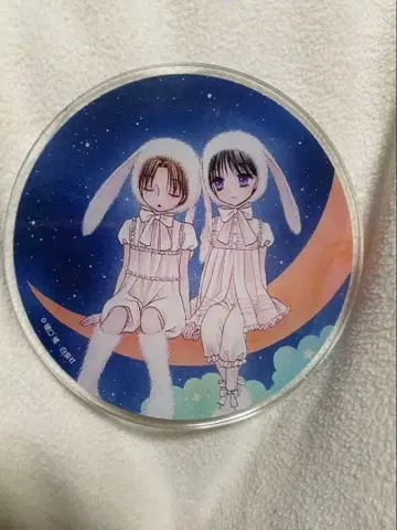 학원 앨리스 코스터