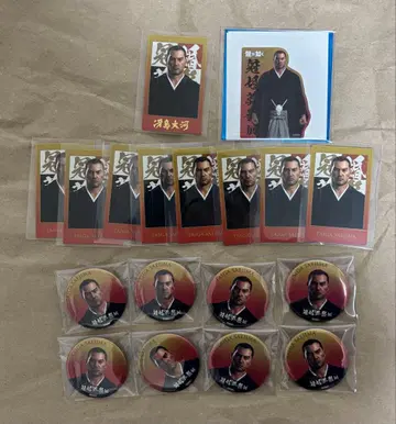 용과 같이 관혼상제전 사에지마 타이거