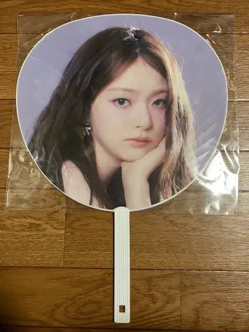 프로미스나인 나경 부채