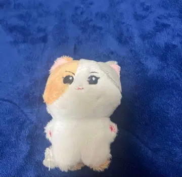 ENHYPEN 정원 마스터 봉제 인형