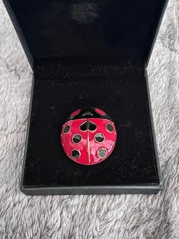 죠죠의 기묘한 모험 죠르노 죠바나 브로치 원화전