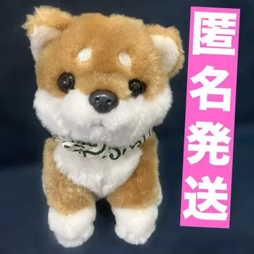 CUTE 큐트 일본 마메시바 봉제 인형 콩시바