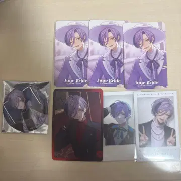 니지산지 사카키 네스 쿠시카츠 덴가나 캔뱃지 준 브라 윈터 폴라로이드