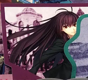 Fate FGO fes 스티커 스카사하 1장 영기 소환