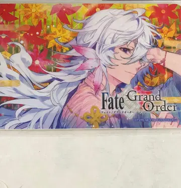 FGO Fate Google Play 기프트카드 콜라보 기사용 마르린