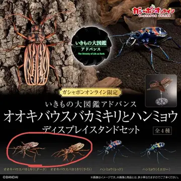 생물대도감 어드밴스 오오키바우스바카미키리 다크 라이트 온라인판