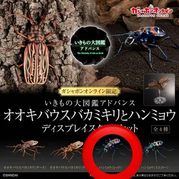 생물대도감 어드밴스 한묘 레드 온라인판