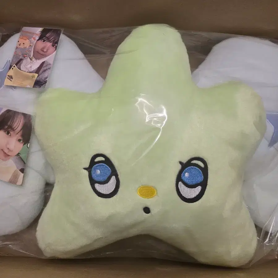 NCT Wish Wichu Cushion Transfer on Bunjang Global Site.