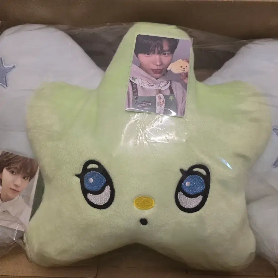 NCT Wish Wichu Cushion Transfer on Bunjang Global Site.