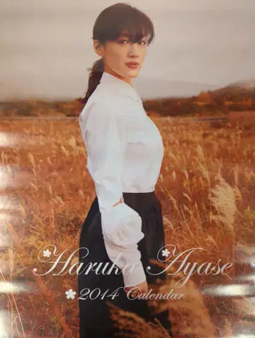 HAGOROMO B2 달력 아야세 하루카 2014년 달력 B2 달력