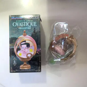 OVATIQUE COLLECTION 서 나이트