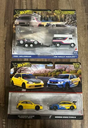 핫휠 팀 트랜스포트 카컬처