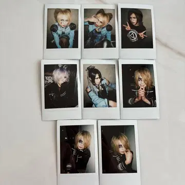 아루루캉 폴라로이드 V계