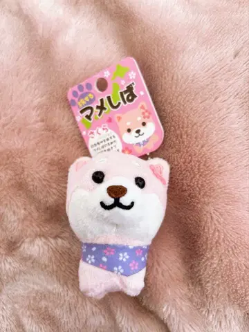 [ 사쿠라 버전 ] 여행하는 마메시바