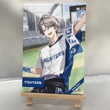 카이타 하루(홋카이도 니혼햄 파이터즈) 캐릭터 파인 캔버스 아트 S-1상