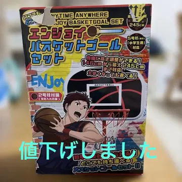 ENJoy 바스켓골 세트 최대 245cm