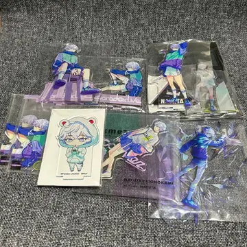 파라라이 나유타 묶음 판매