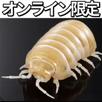 알비노 공벌레 생물대도감 어드밴스 가샤폰 온라인 한정판 중 페인팅 버전