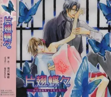 유키시로 마리에 수색) 한 날개 나비