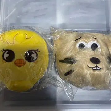 straykids 필릭스 포가리 백참 5star 스키츄