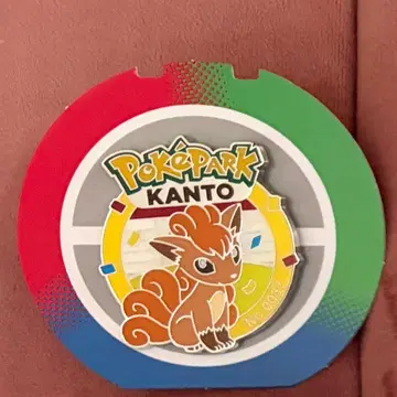 포켓파크 칸토 핀 배지 식스테일