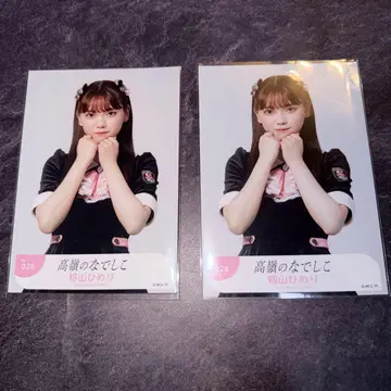 타카미네노 나데시코 안티팬 모미야마 히메리 브로마이드 요리