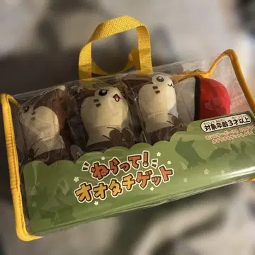 포켓몬 센터 한정판 노려라! 오오타치 겟