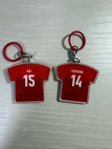 배구 남자 일본 대표 메지루시 액세서리